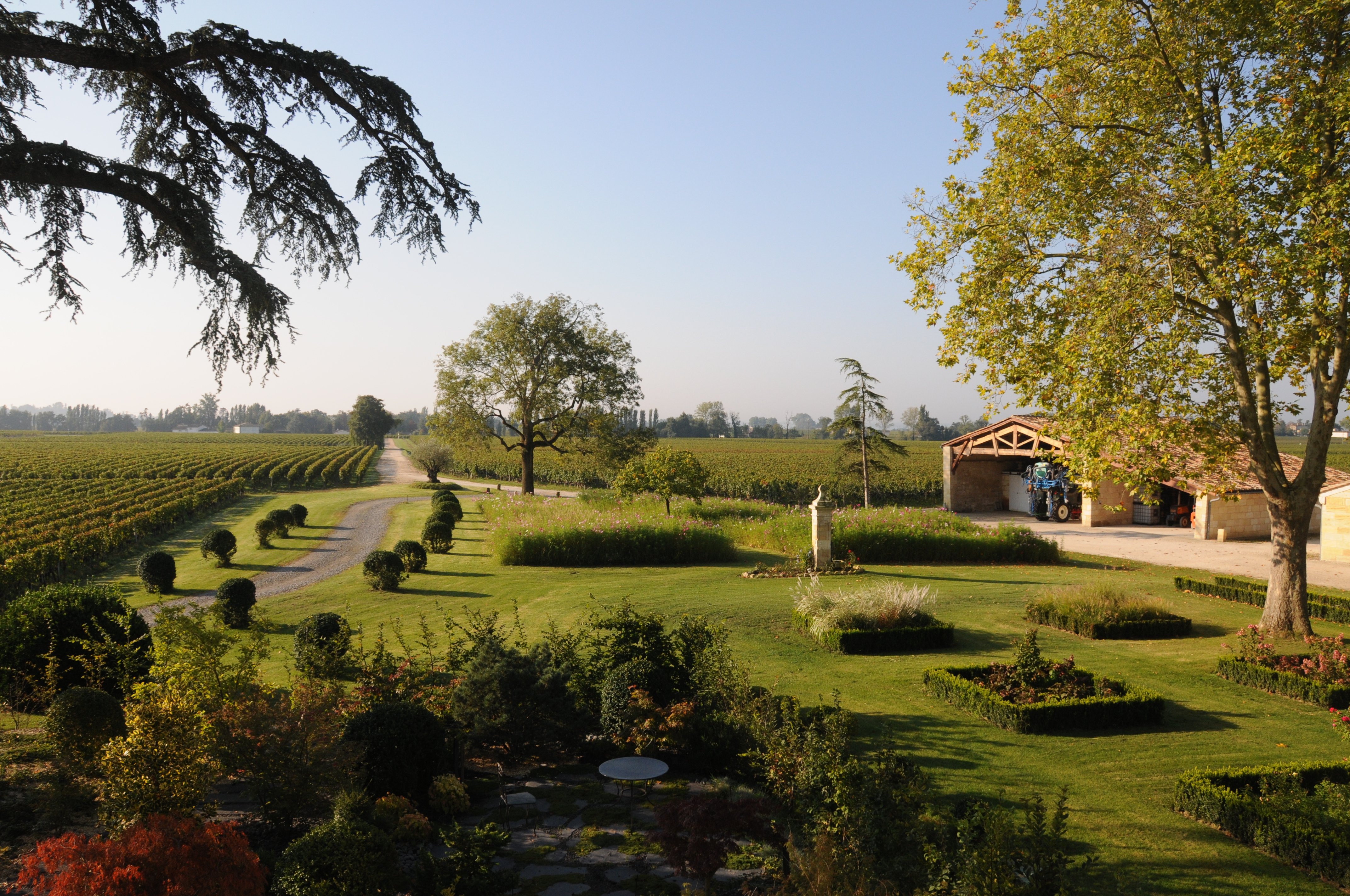 Château Jean Faure - photo 3