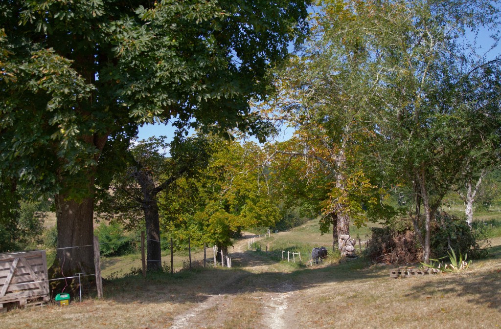 Château la Ressaudie