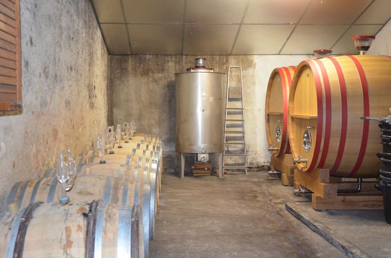 Château La Robertie - photo 2