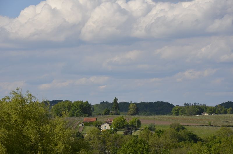Château La Robertie - photo 3