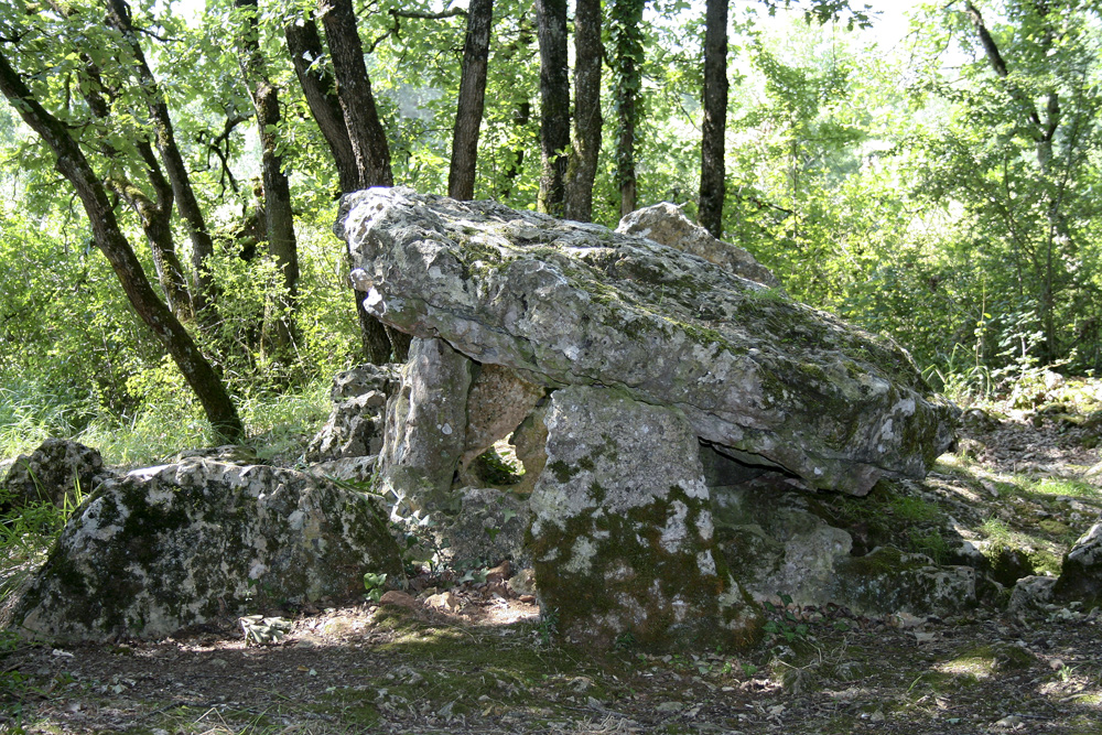 Dolmens d'Arlait, Château-Larcher
