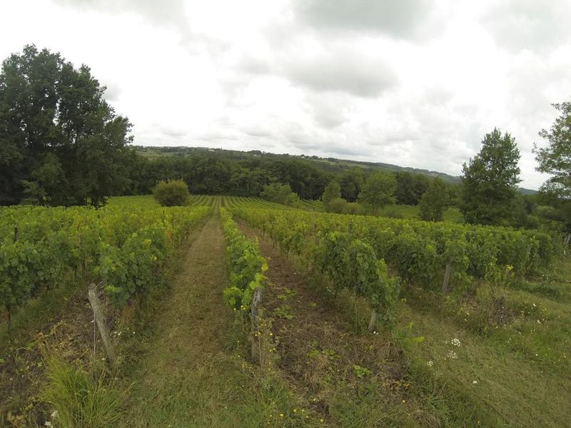 Château Larchère - photo 2