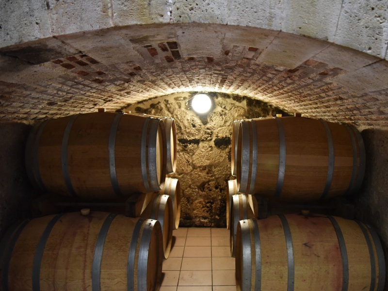 Château Moncassin - photo 3