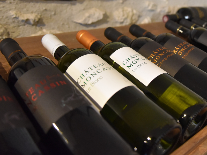 Château Moncassin - photo 2