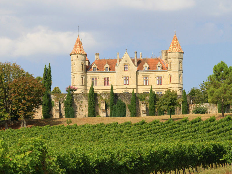 Château Moncassin - photo 5