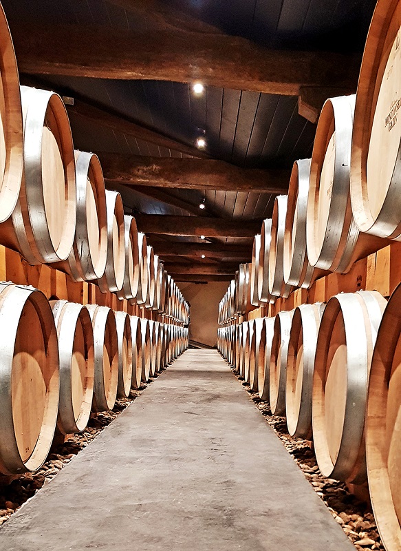 Château Monconseil-Gazin - photo 5