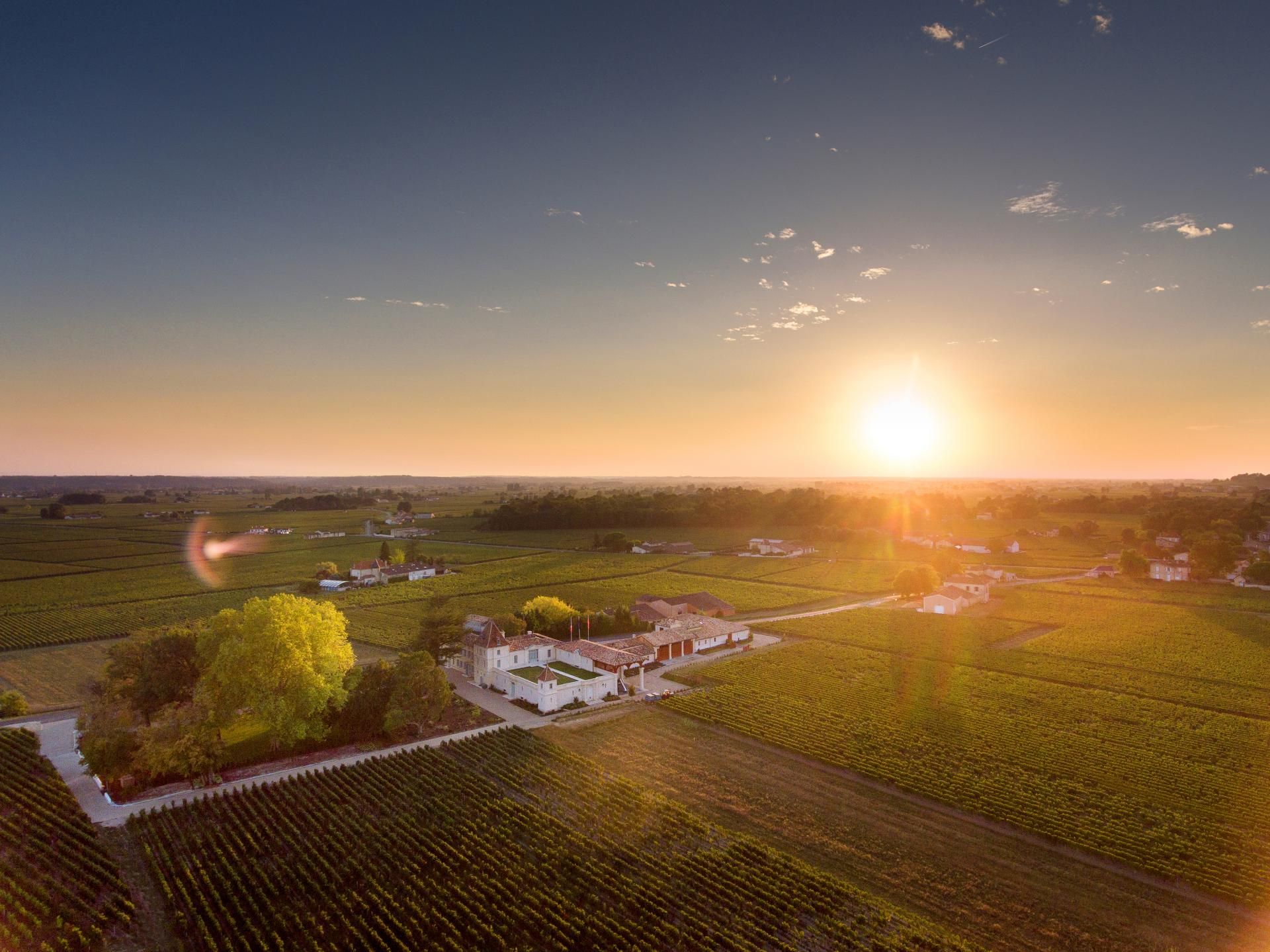 Château Monlot - photo 2