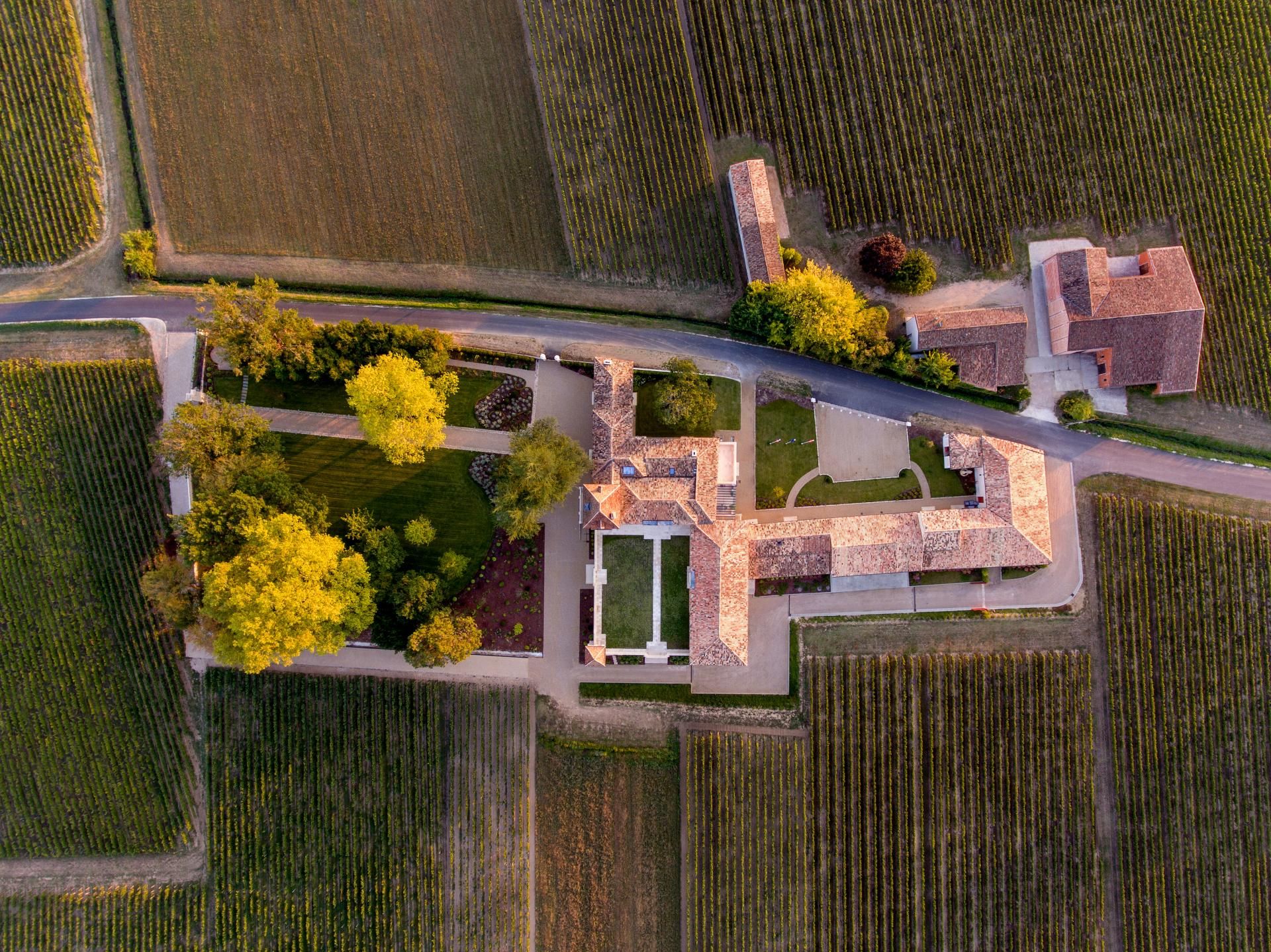 Château Monlot - photo 4