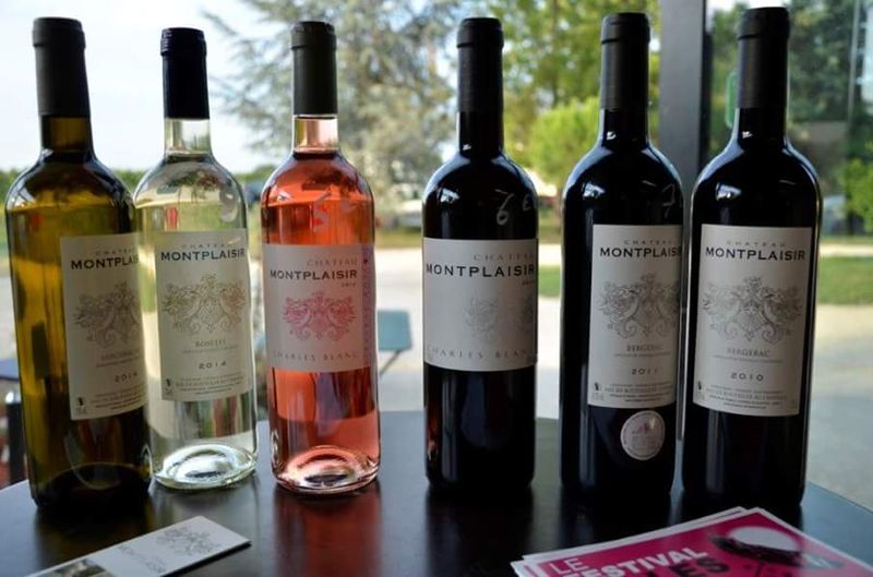 Château Montplaisir - photo 2