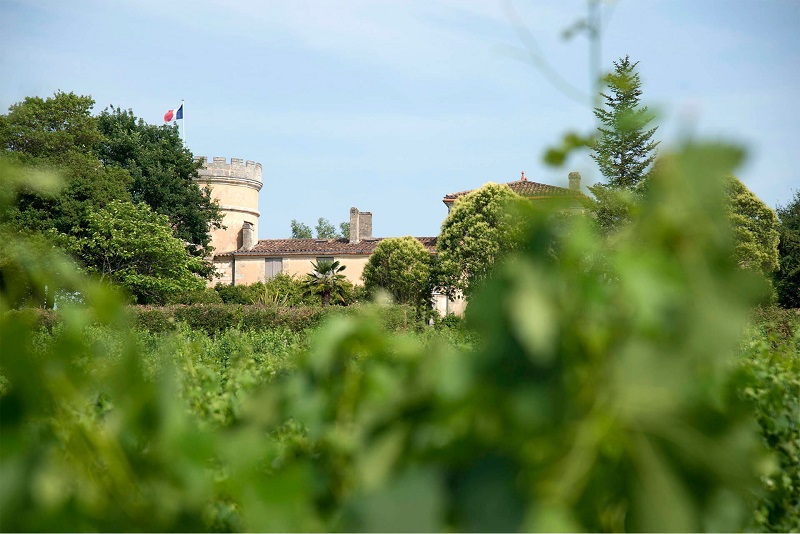 Château Peybonhomme-Les-Tours - photo 2