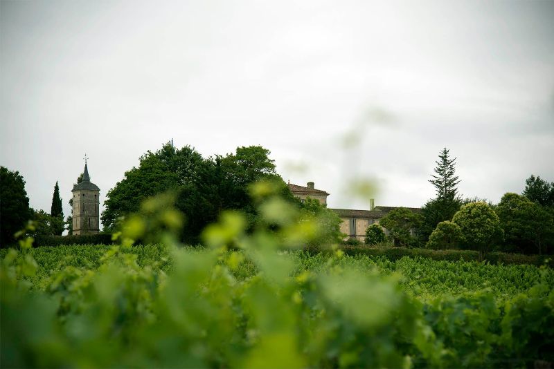 Château Peybonhomme-Les-Tours - photo 4