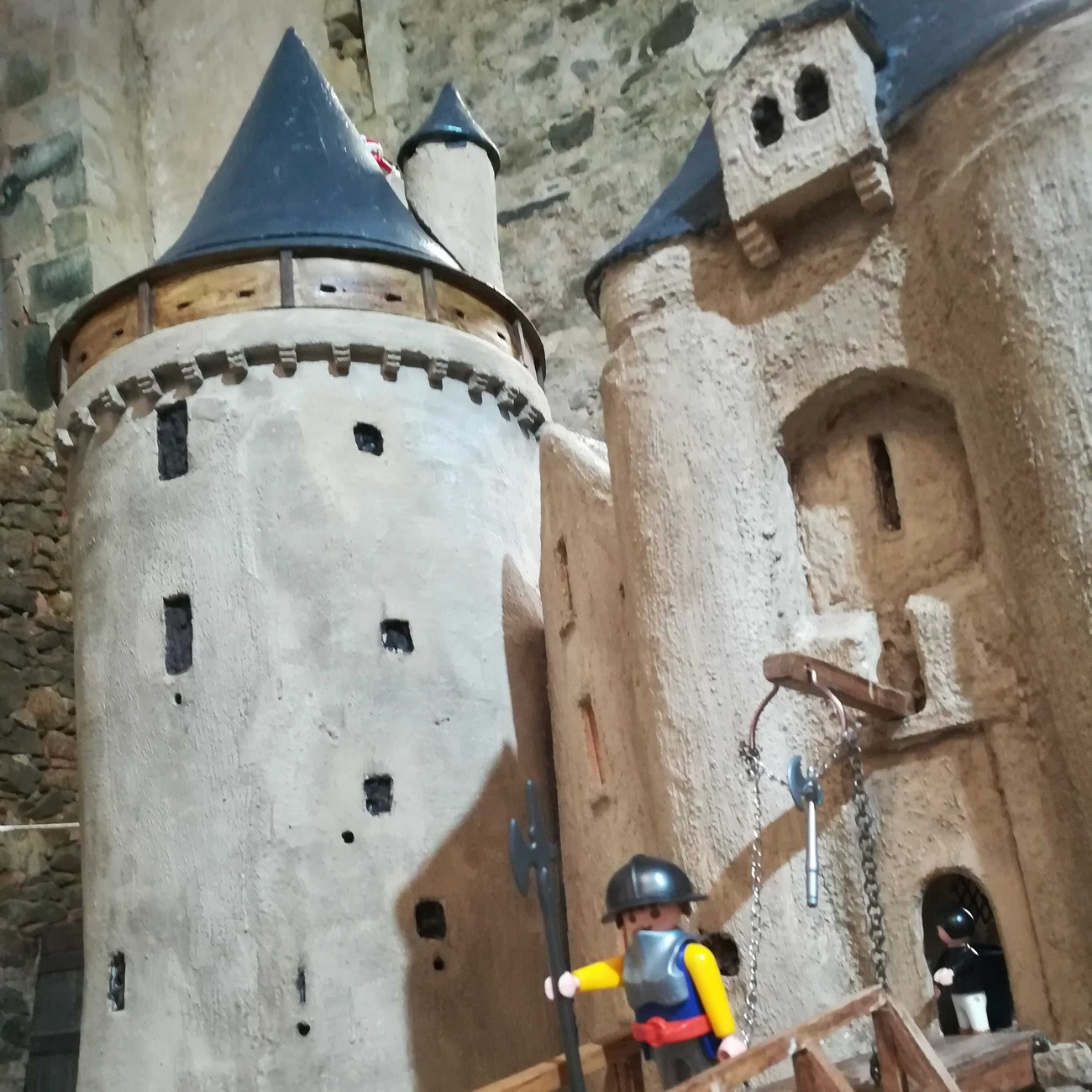 Château de Saint Mesmin, Saint-André-sur-Sèvre - photo 21