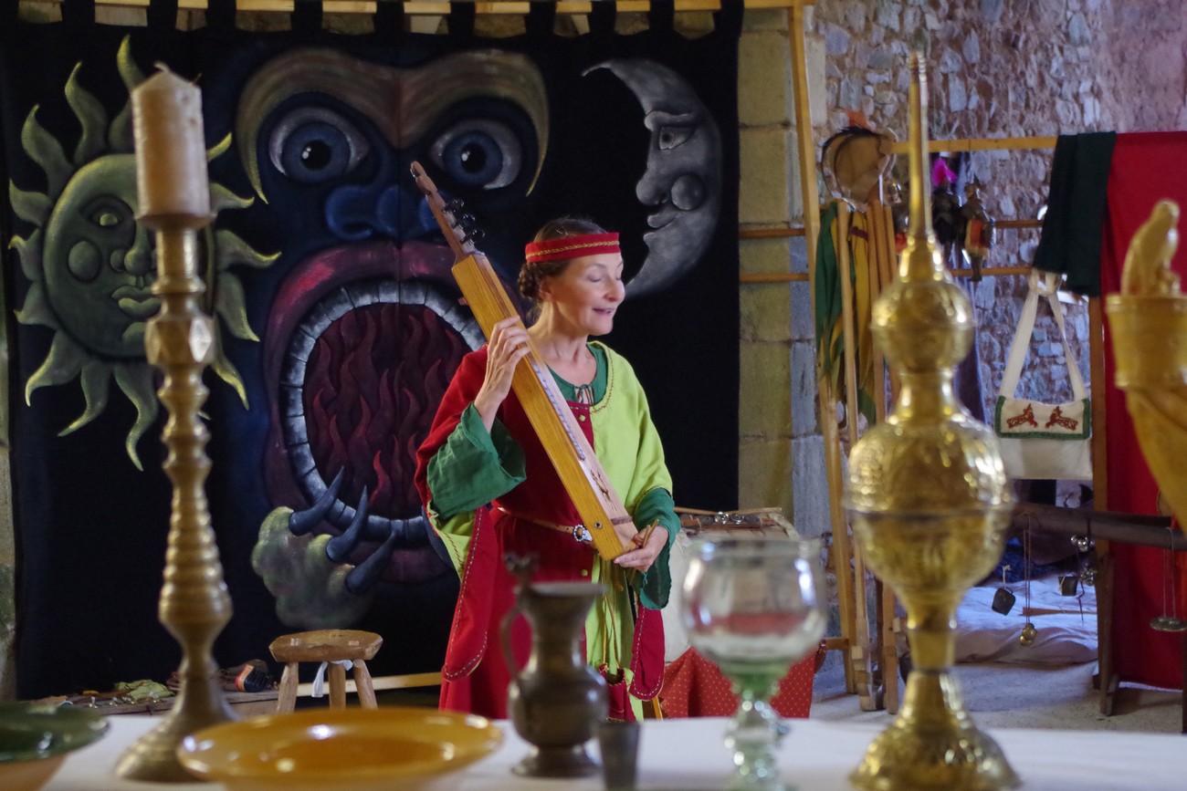 Château de Saint Mesmin, Saint-André-sur-Sèvre - photo 6