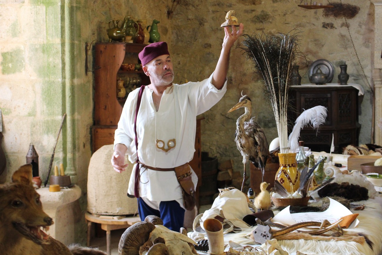 Château de Saint Mesmin, Saint-André-sur-Sèvre - photo 10