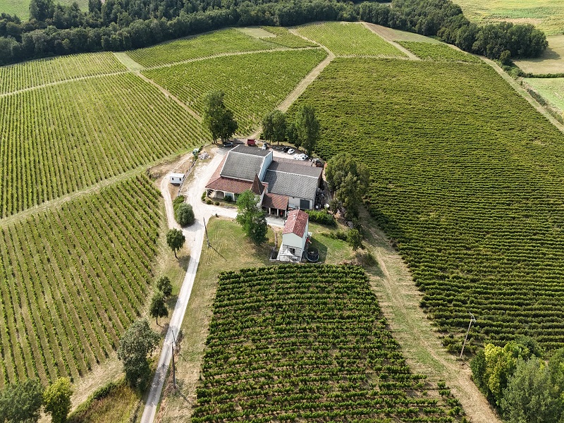 Château Sauvagnères - photo 2