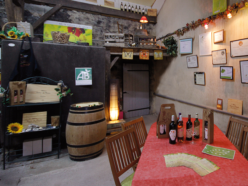 Château des Tertres du Plantou - photo 2