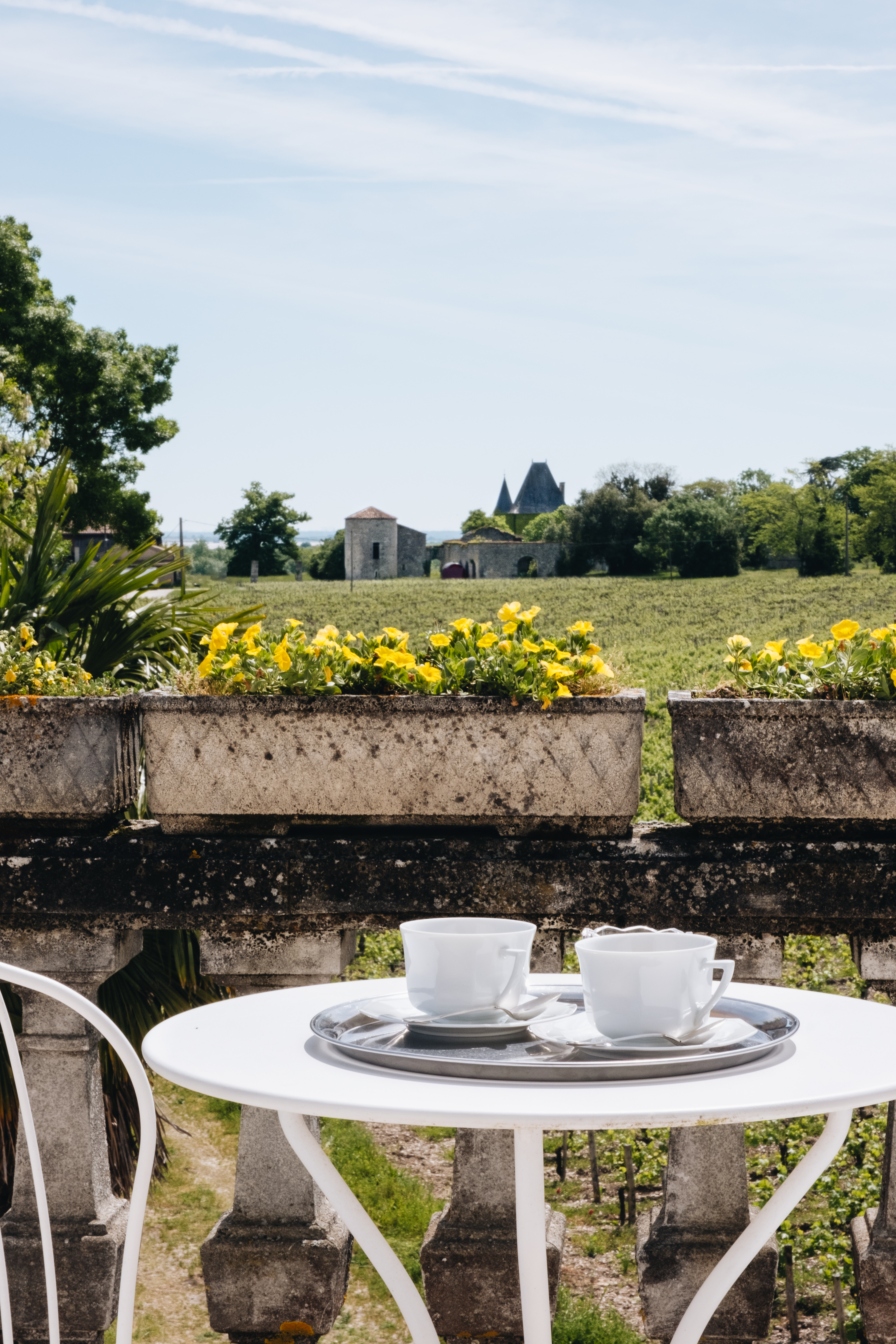 Le Château Réal, Saint-Seurin-de-Cadourne - photo 17