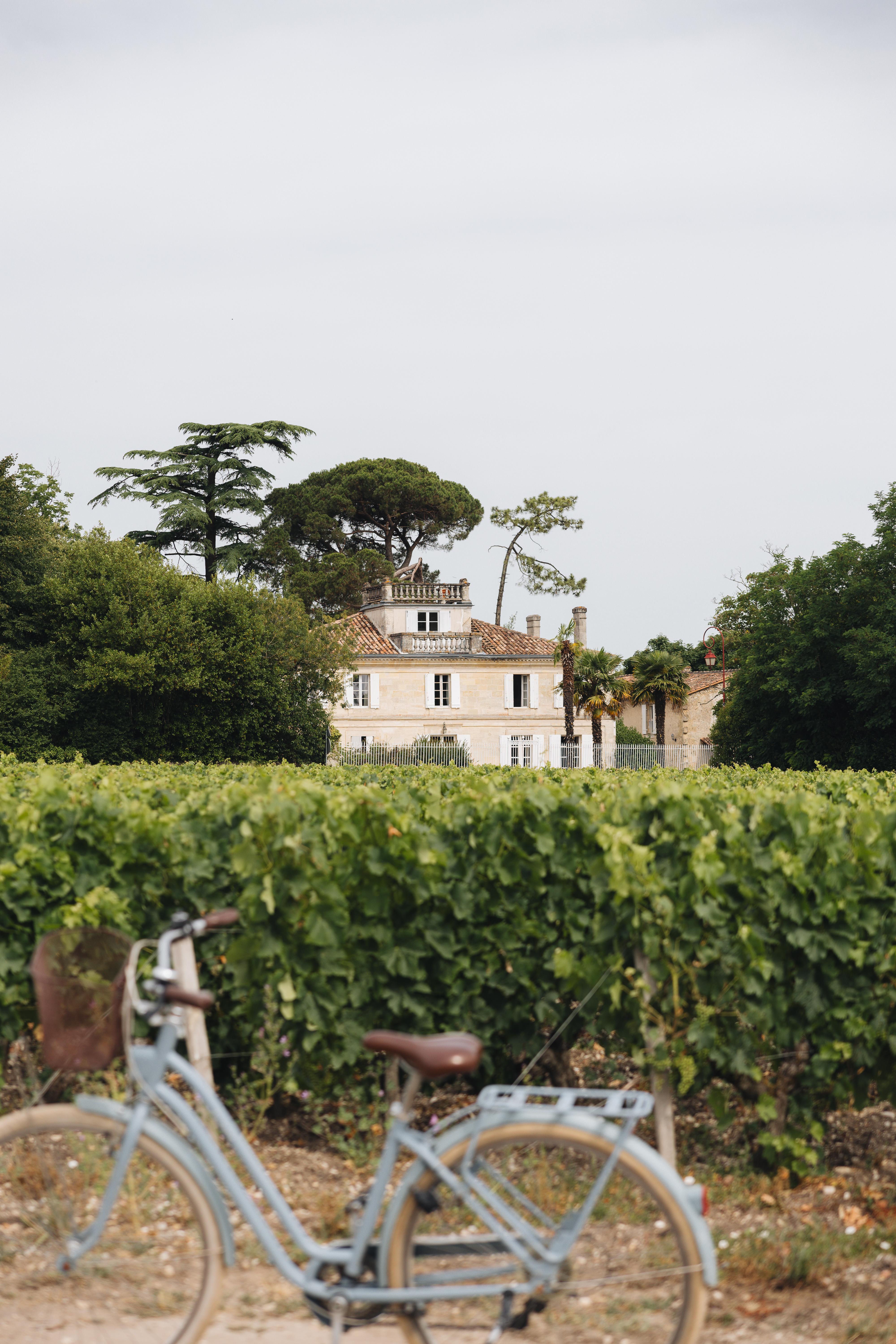 Le Château Réal, Saint-Seurin-de-Cadourne - photo 16