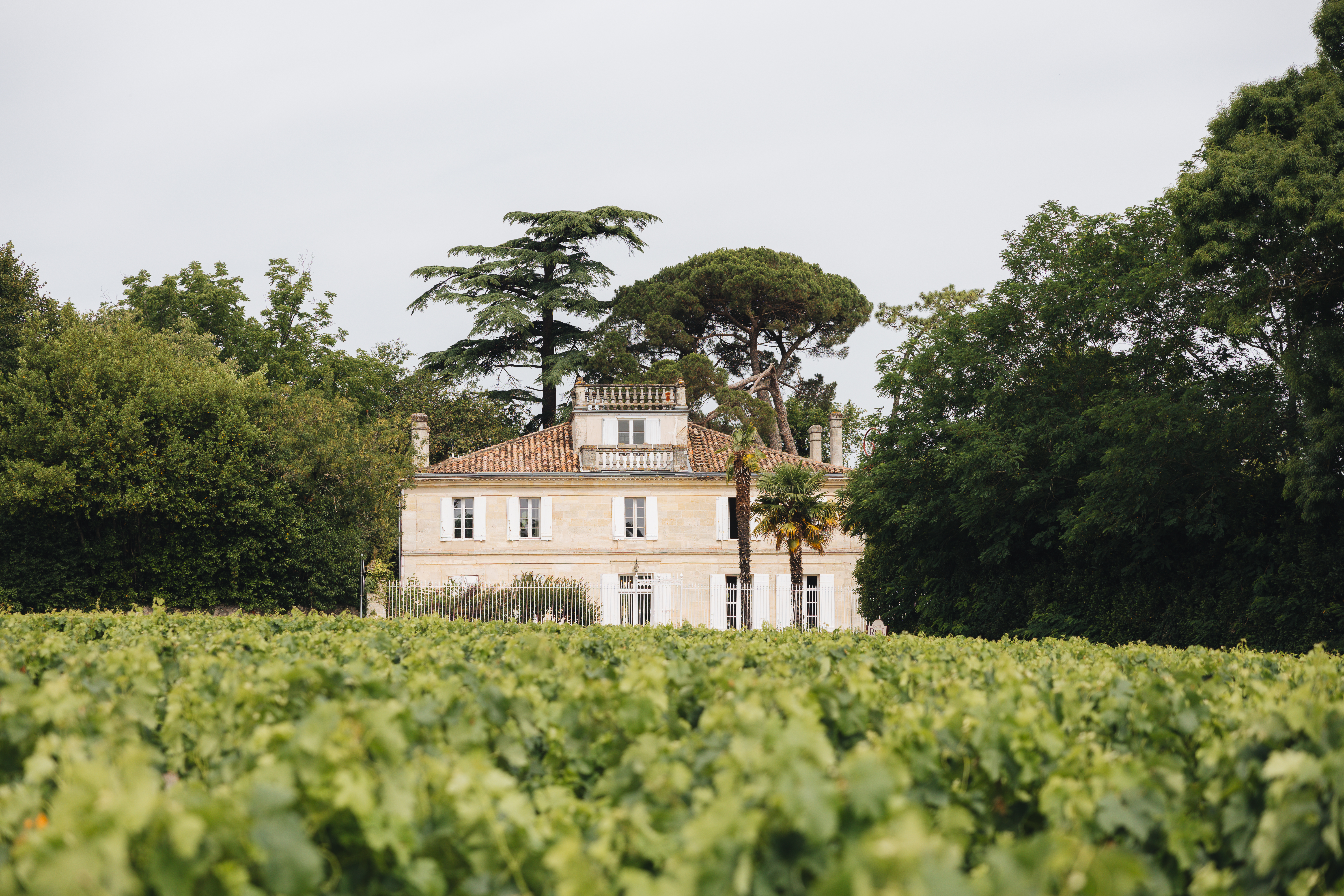 Le Château Réal, Saint-Seurin-de-Cadourne - photo 5