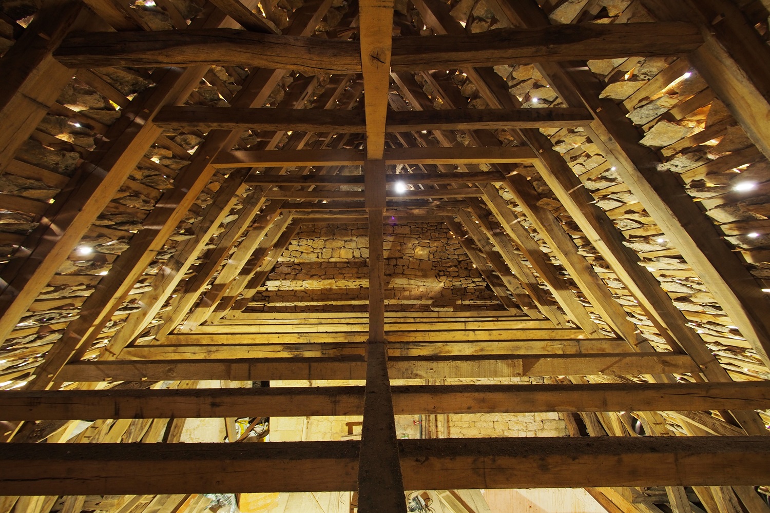 Château de Salignac, Salignac-Eyvigues - photo 4