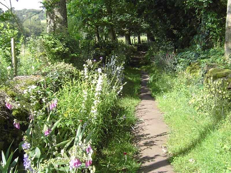 Chemin de l'Osmonde Royale (équestre) — Equestrian Routes à Haute-Vienne