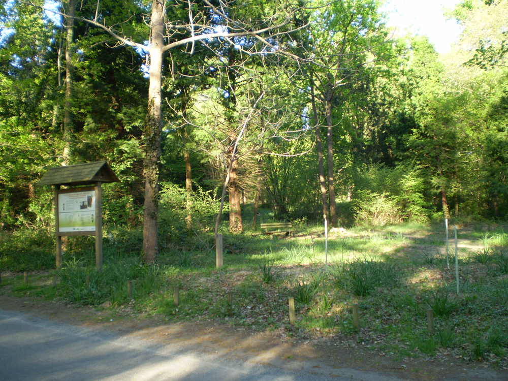 La Forêt Domaniale de Châtellerault, Châtellerault - photo 2