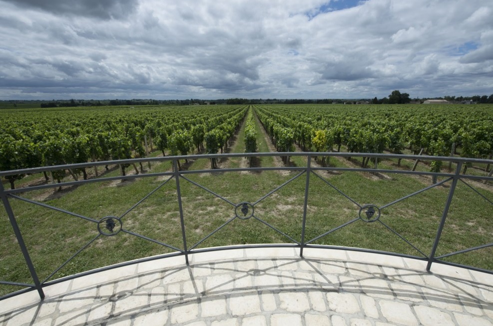 Château Haut Chaigneau — photo 3