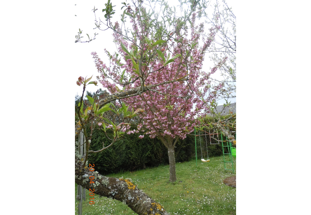 Le Clos des Ageasses, Chauvigny - photo 15