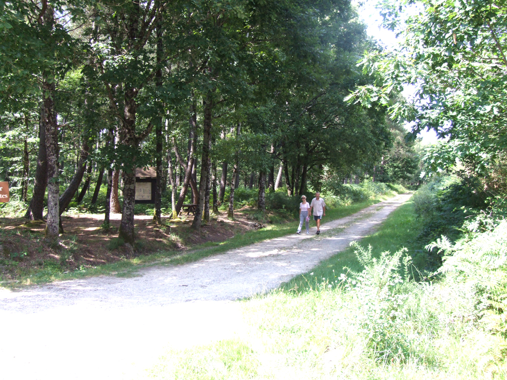 La Forêt Domaniale de Mareuil - photo 3