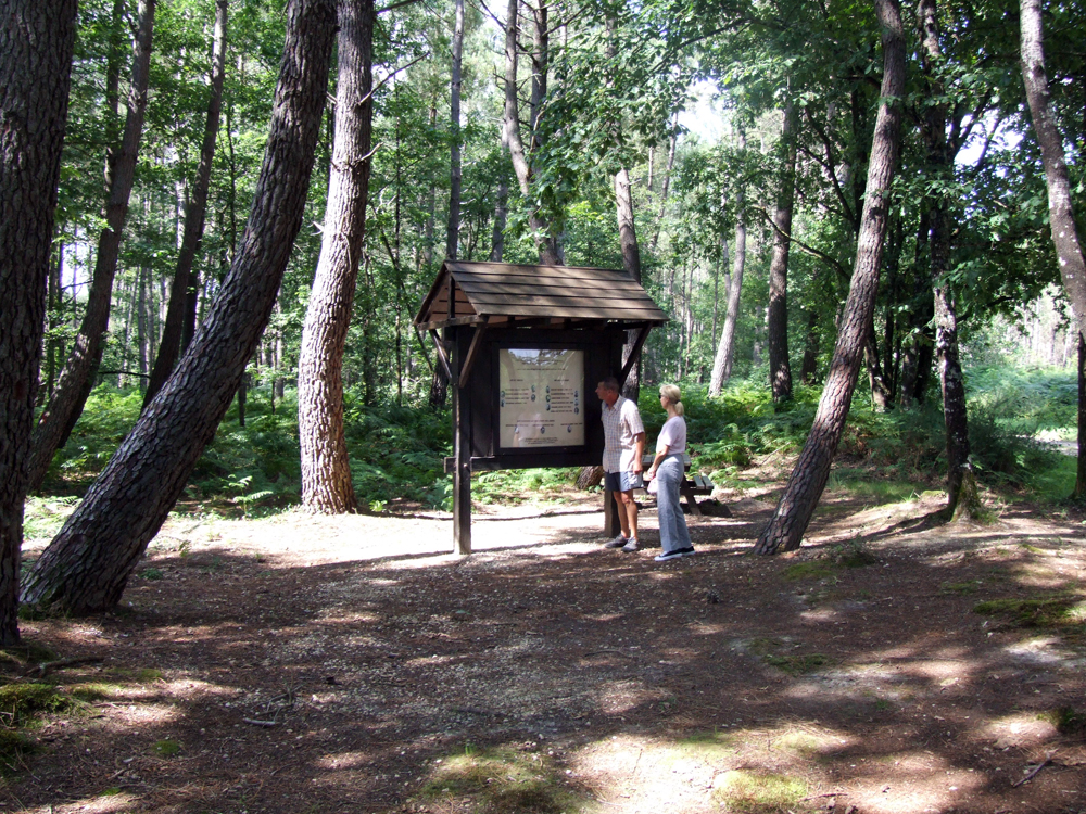 La Forêt Domaniale de Mareuil - photo 5