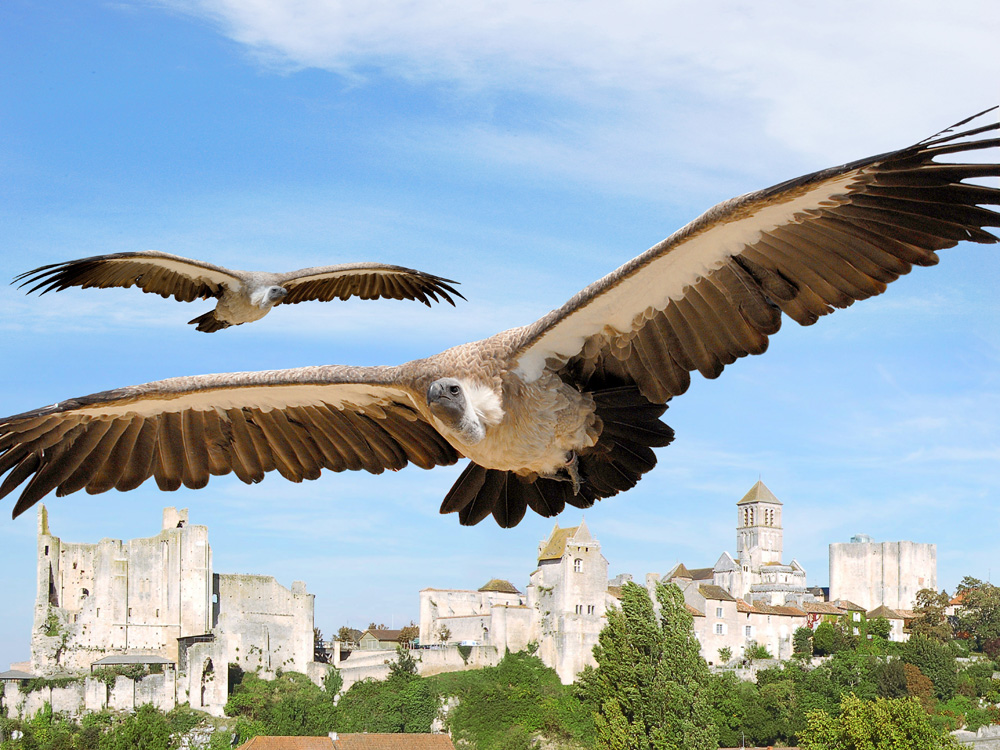 Les Géants du Ciel