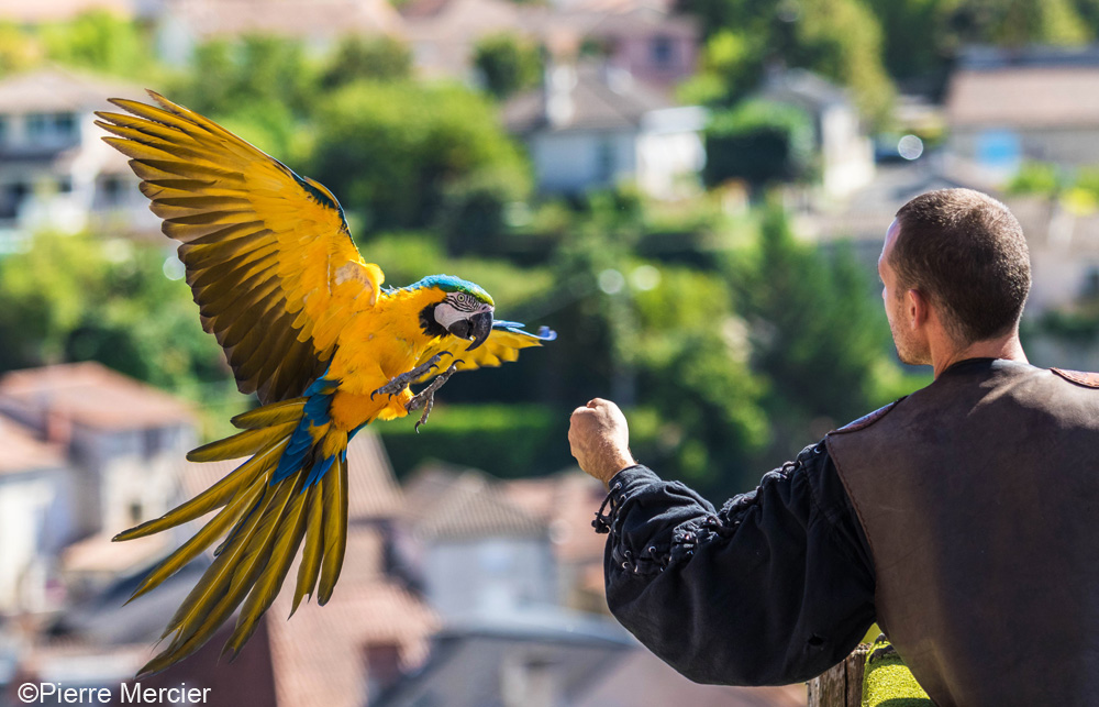 Les Géants du Ciel, Chauvigny - photo 10