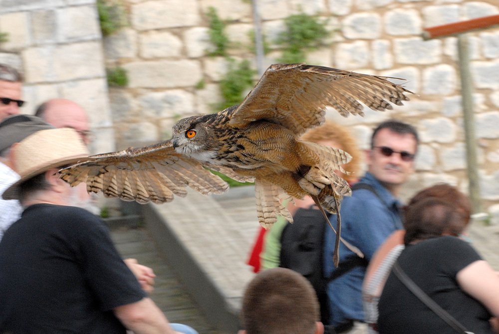 Les Géants du Ciel, Chauvigny - photo 4