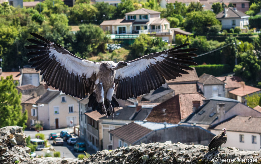 Les Géants du Ciel, Chauvigny - photo 6