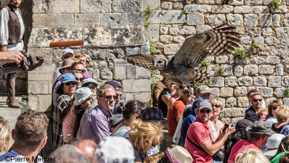 Les Géants du Ciel, Chauvigny - photo 7