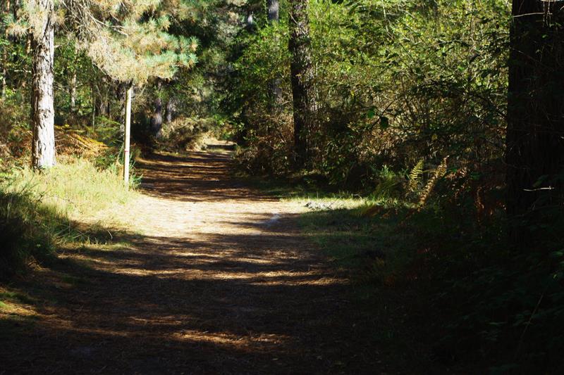 chemi pratiqu&eacute;