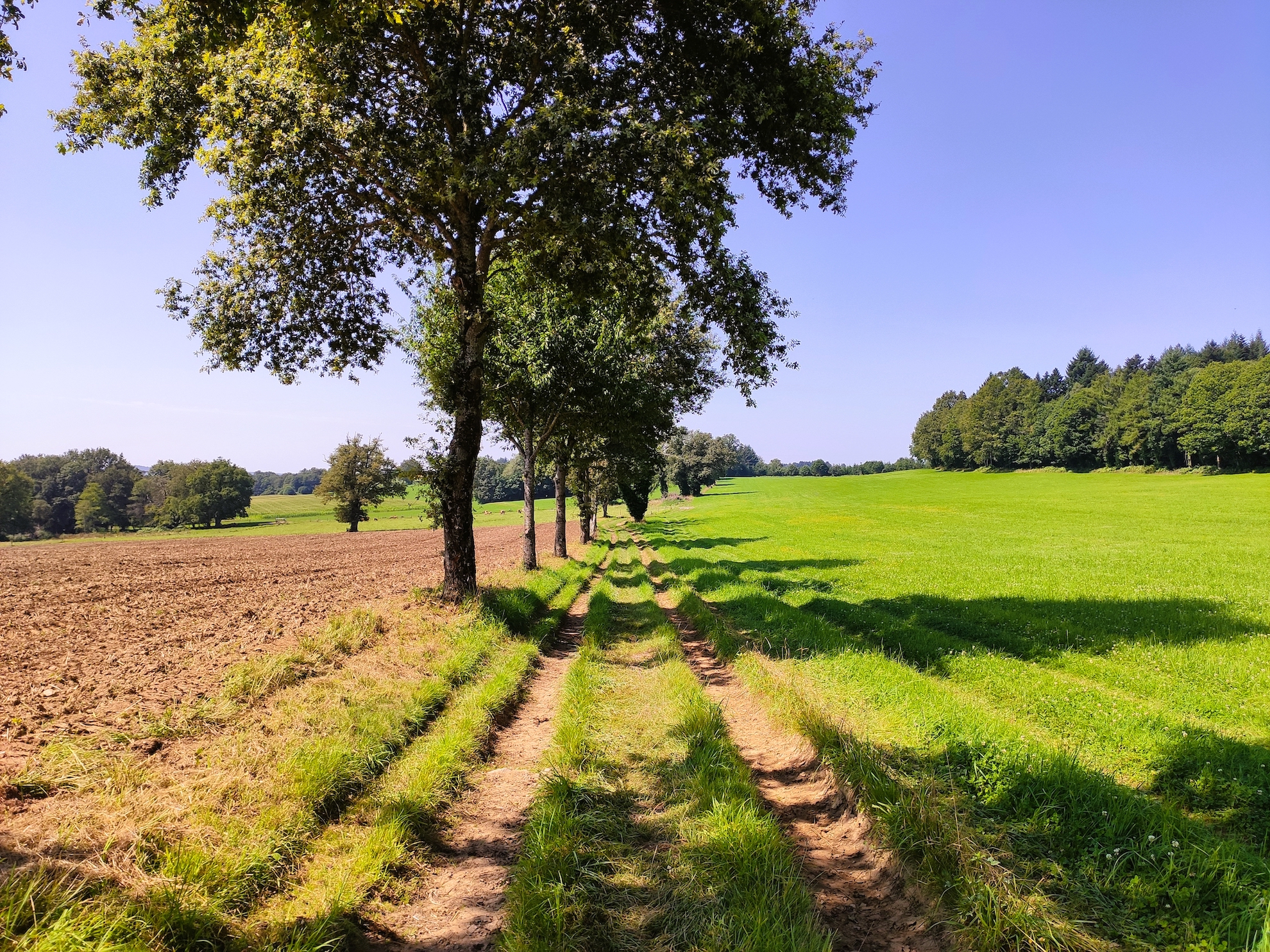 Circuit des Prades, Champnétery