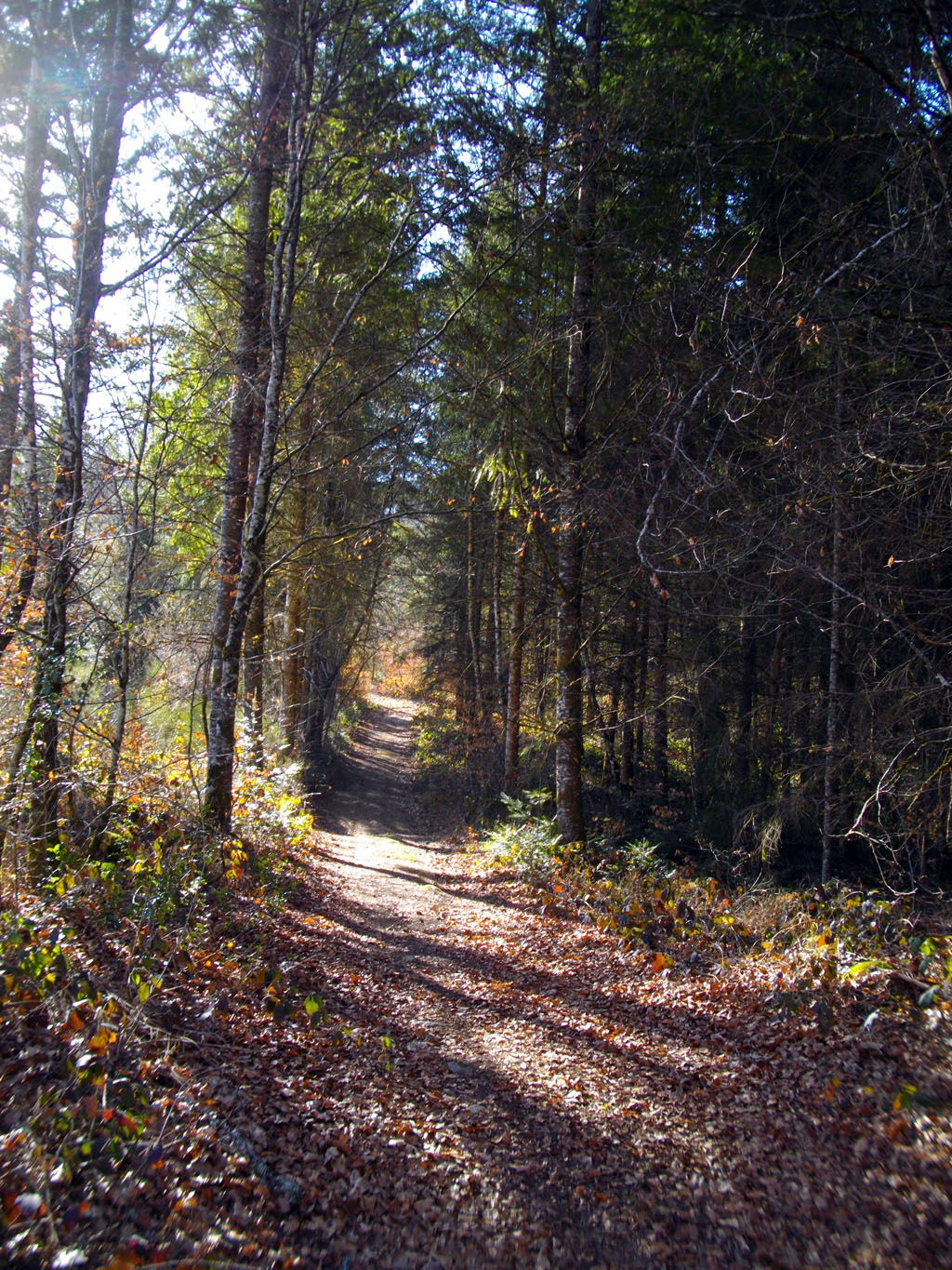 La vallée de l'Eau Large, Sainte-Marie-Lapanouze - photo 5