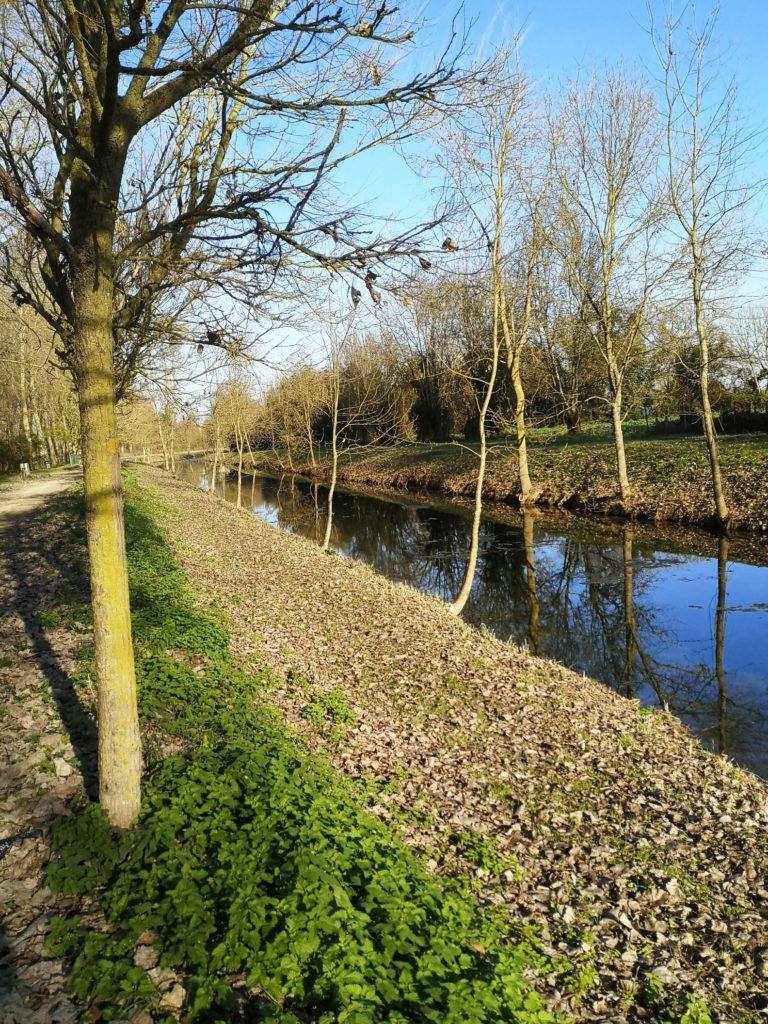 La Boucle des Jardins - Station de Trail, Mauzé-sur-le-Mignon - photo 2