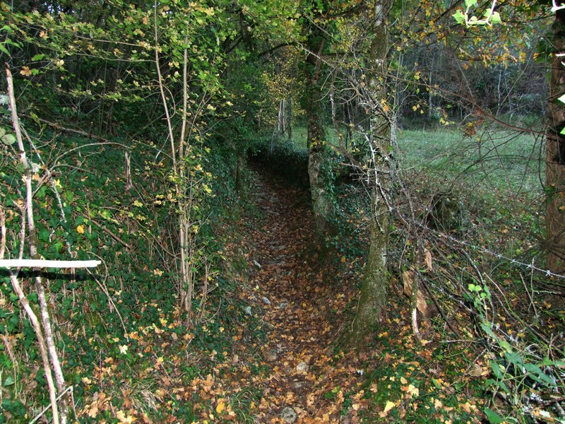 Chemin de la Queyrille, Queyssac-les-Vignes - photo 18