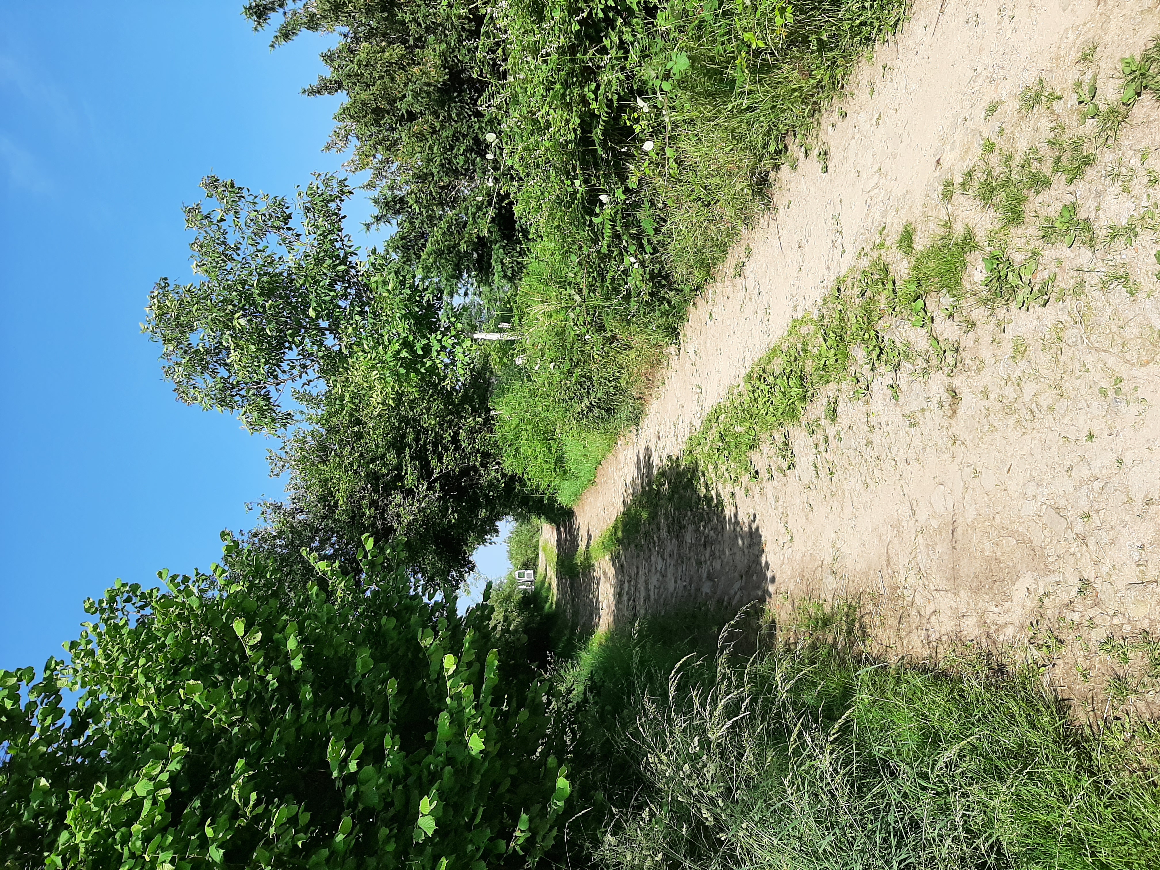 Camping à la ferme Les Sauvageons, Sainte-Anne-Saint-Priest - photo 4