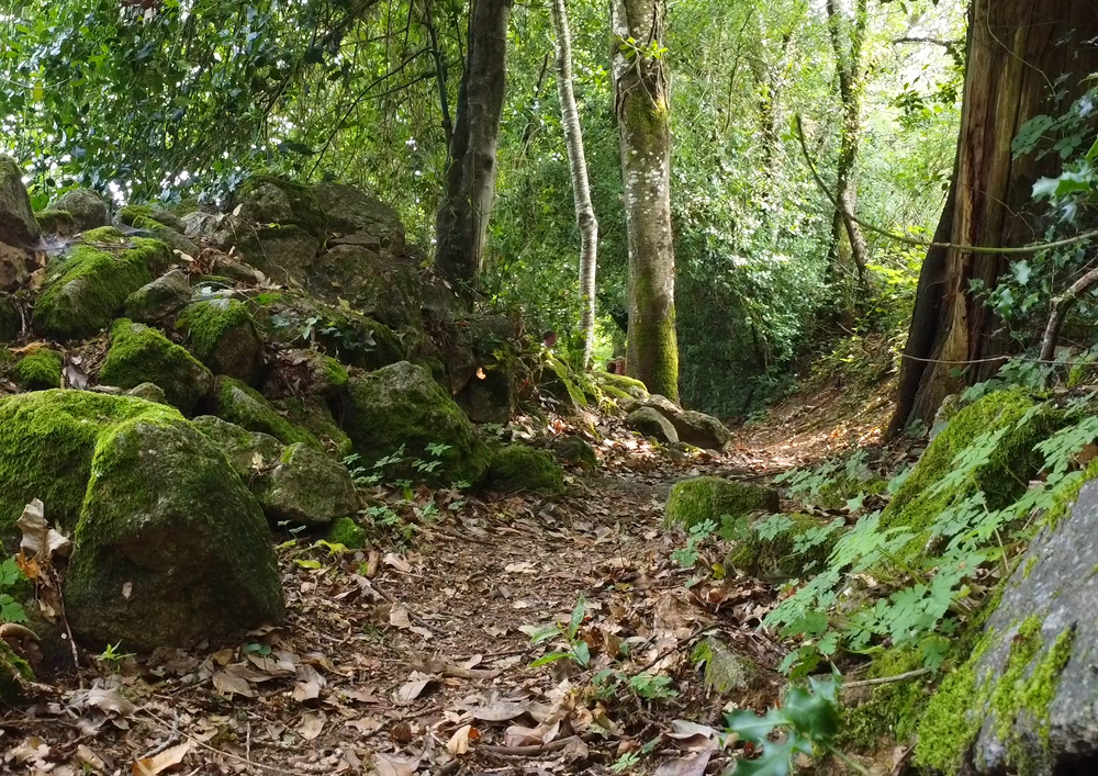 Circuit Uni'Vert Trail n°6 : Racin'es Trail, La Souterraine - photo 4