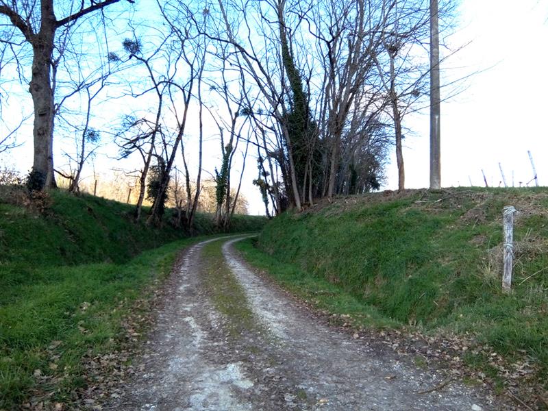 chemin-de-calcaire