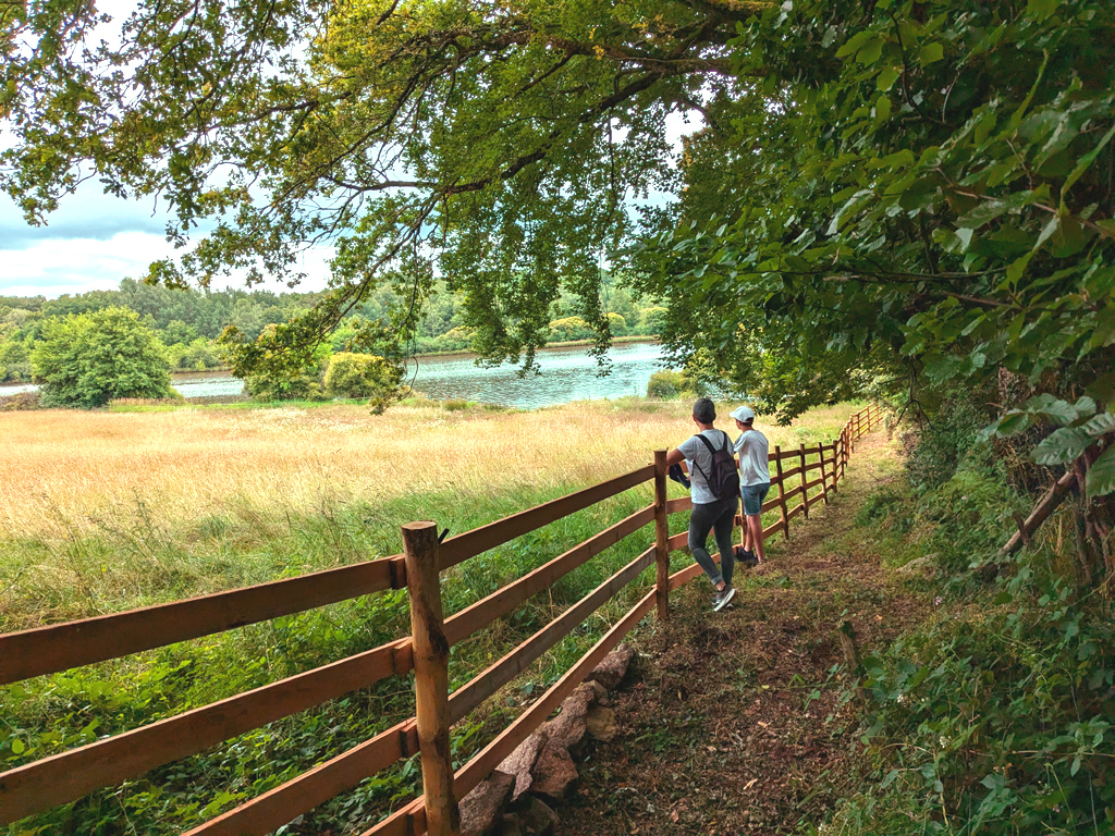 Circuit pédestre n°2 L'étang de la Chaume, Azerables - photo 6