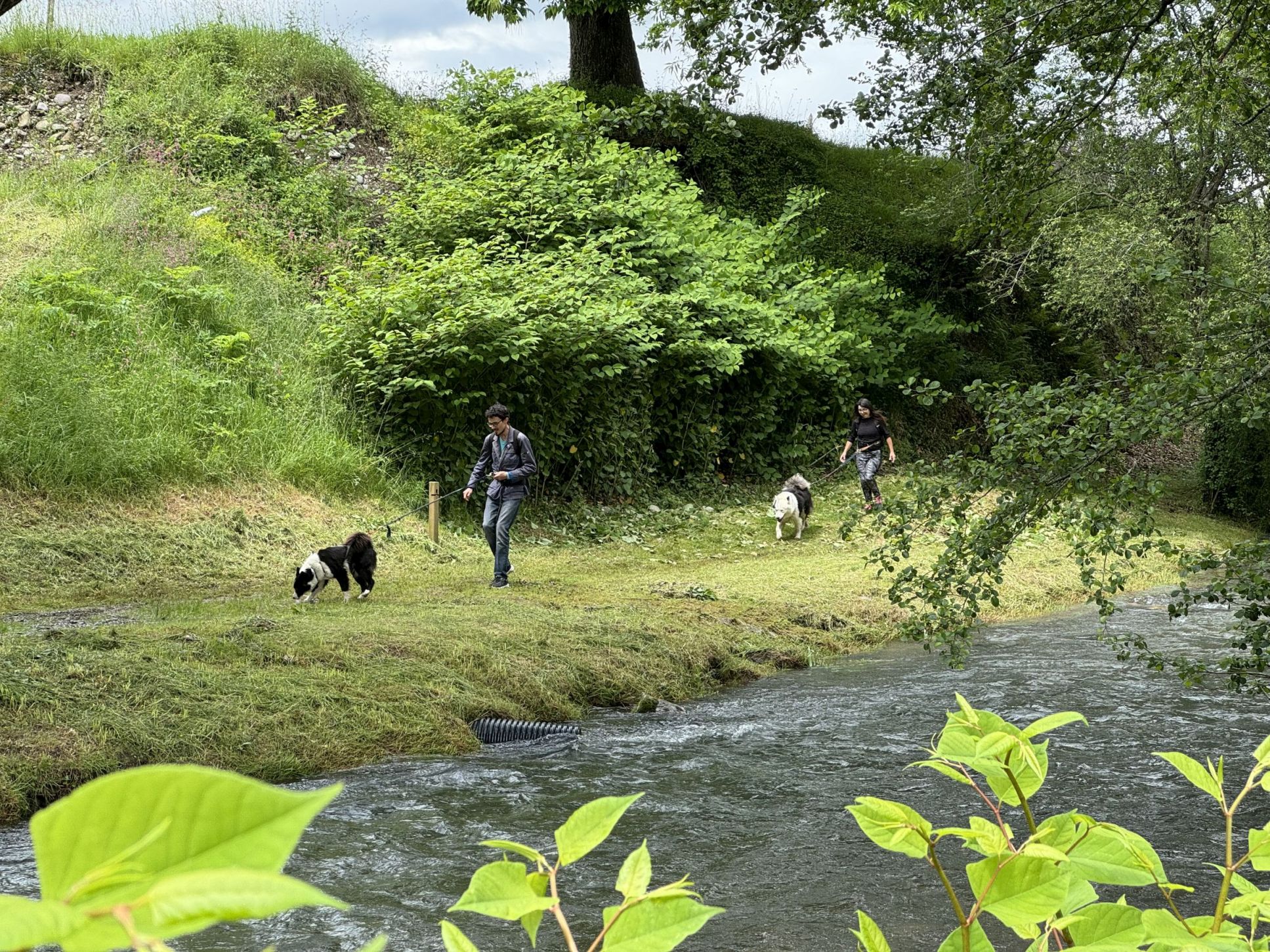 N°18 - Le chemin de la transhumance — photo 3