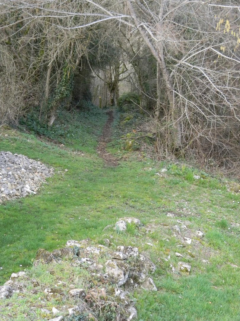 Boucle de la Ferrassie n° 26 / Savignac de Miremont, Savignac-de-Miremont - photo 3