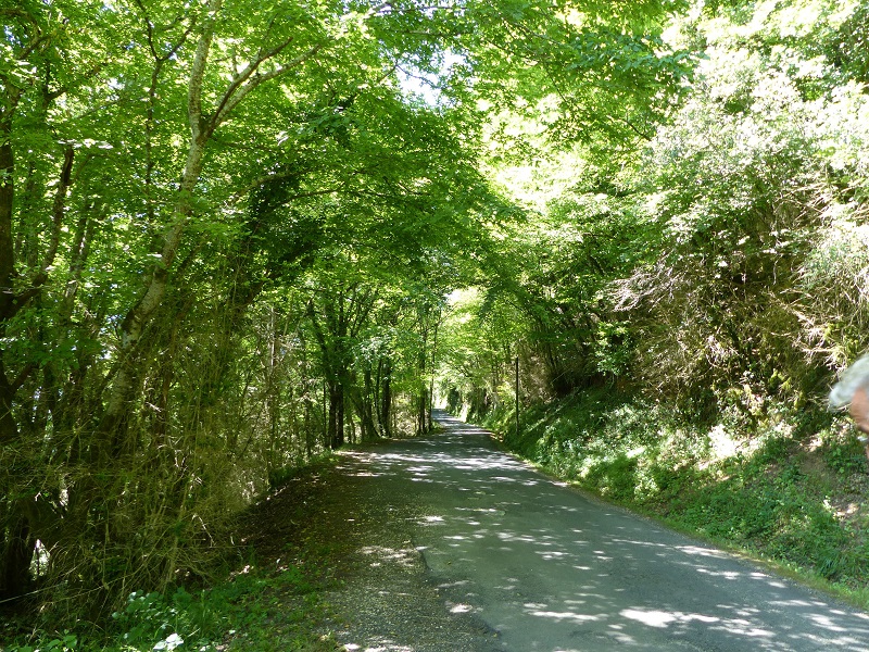 Au Bord du GR36, Tursac - photo 10