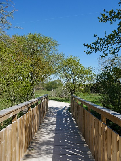 Balade en famille sur le Chemin des Lapins - photo 3