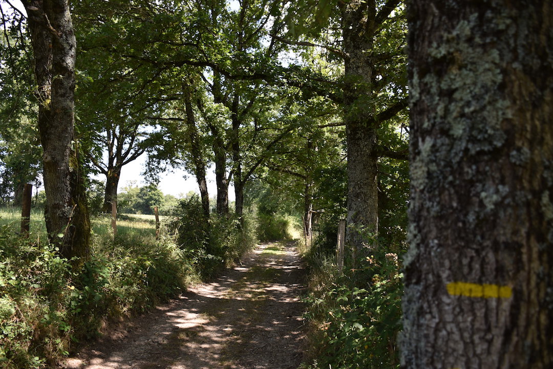 Le chemin des moulins — photo 2