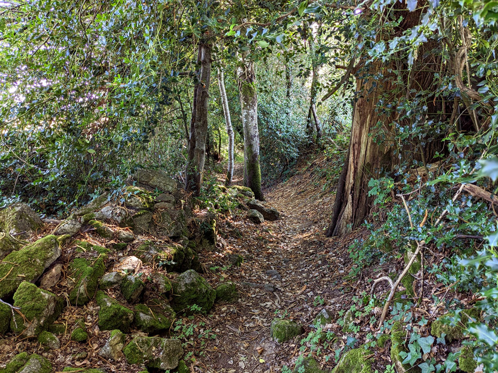 Circuit Uni'Vert Trail n°6 : Racin'es Trail, La Souterraine - photo 3